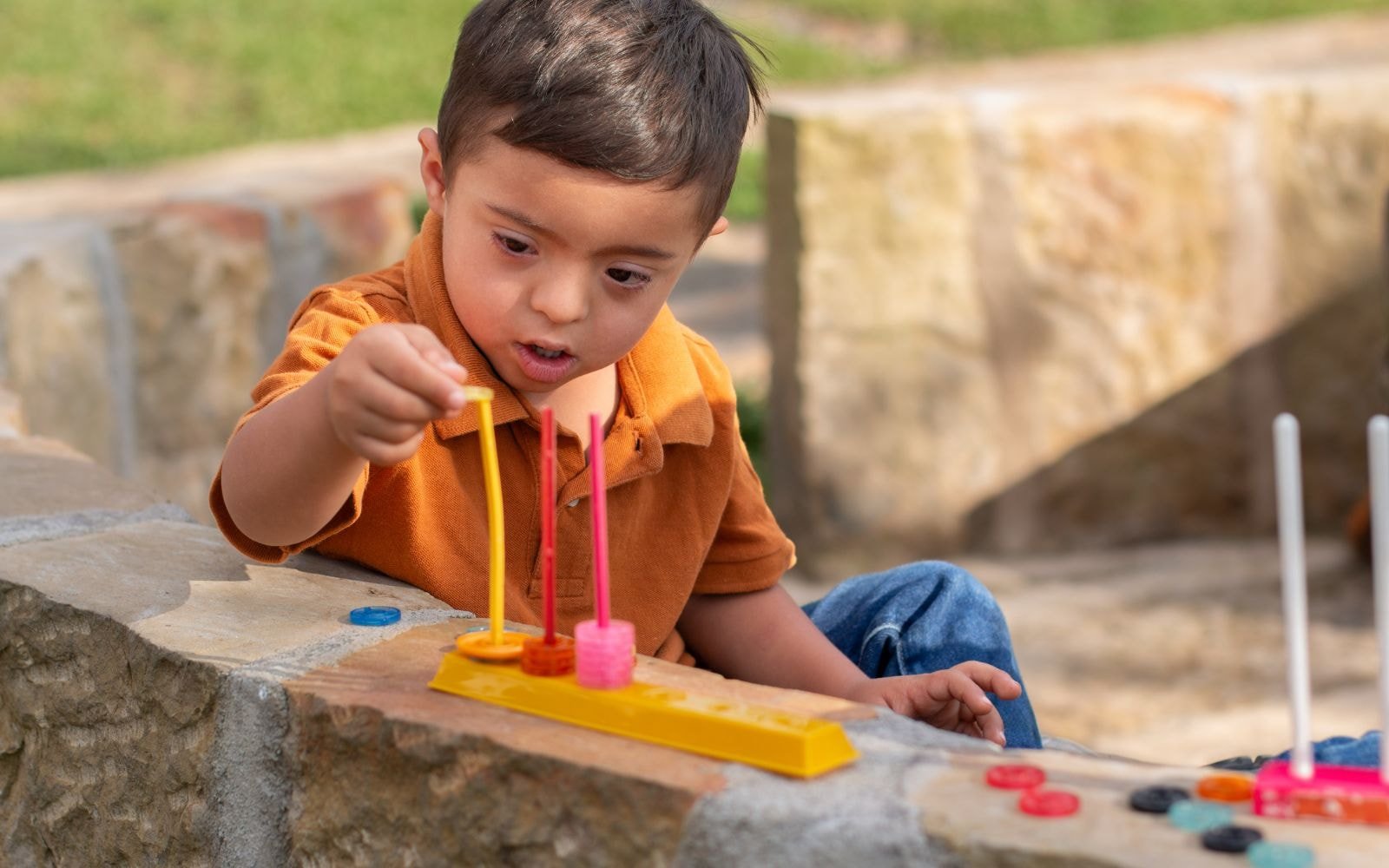 What is Cognitive Development?